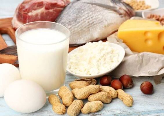 Productos lácteos, pescado, carne, nueces y huevos la nutrición de la dieta proteica